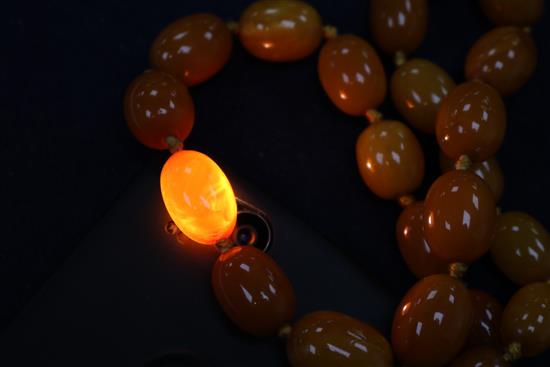 A single strand graduated oval amber bead necklace, gross weight 53 grams, approx. 62cm.